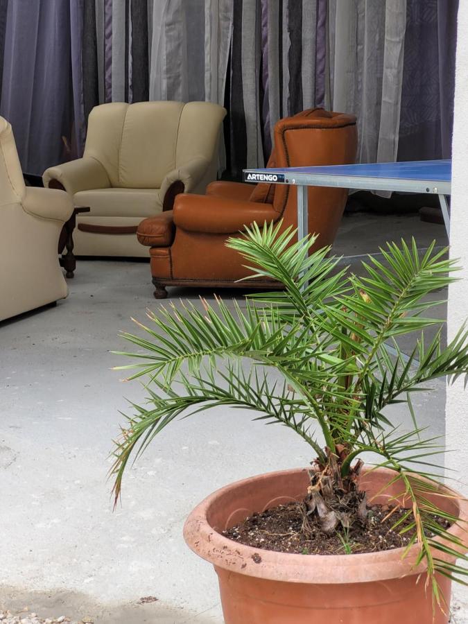 Studio Sequoia Au Pied Du Chateau Saumur Bagian luar foto